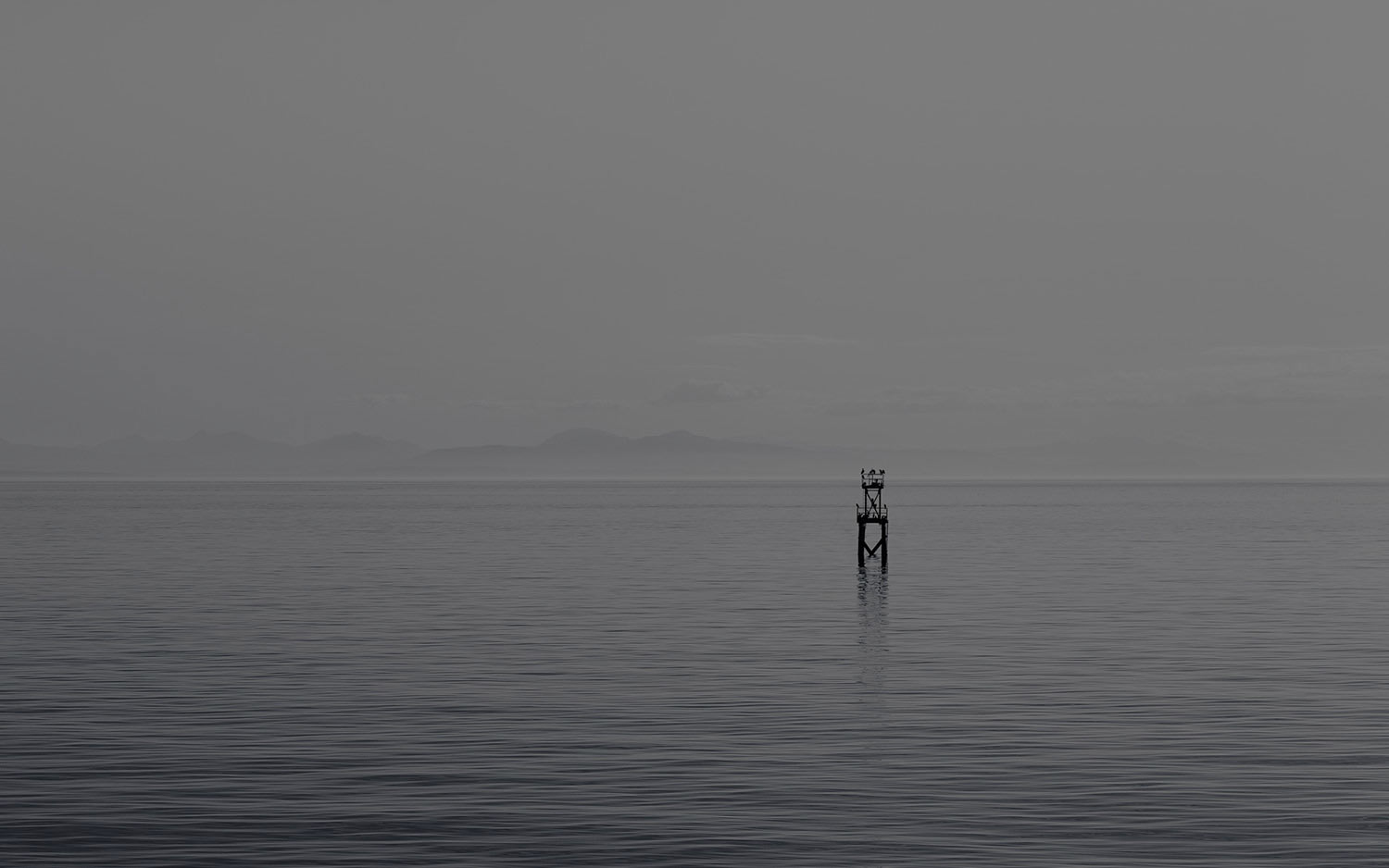 Took this in the morning